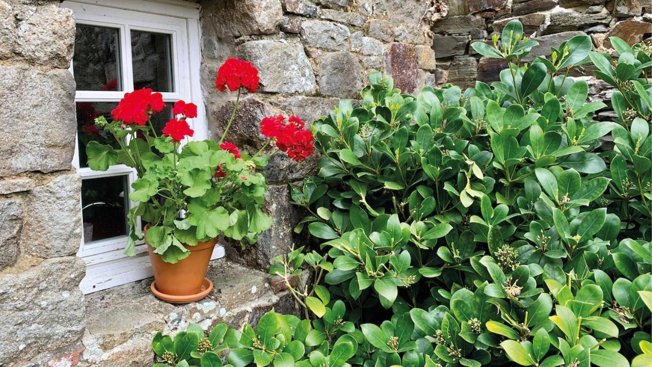 Manoir De La Begaudiere Mont-Dol Εξωτερικό φωτογραφία